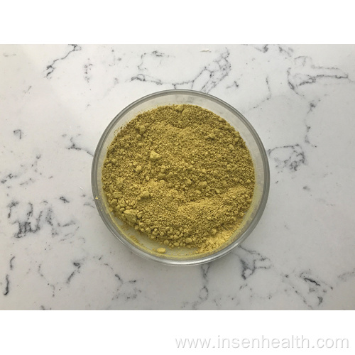 Bulk 98% Fisetin Supplement Powder